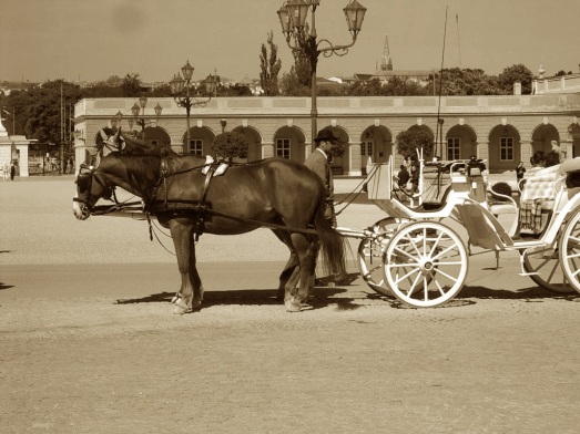 Carriage at Schonbrunn Palace